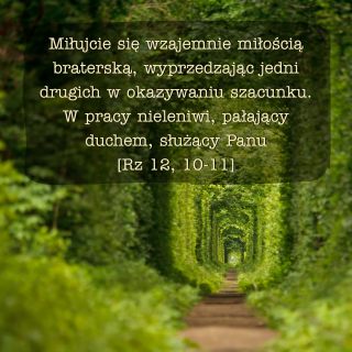 Nie bój się, bo ja jestem z tobą. 🤝🌍 Nie lękaj się, bo ja jestem twoim Bogiem. 🕊️💫 Umocnię cię, 💪 wspomogę cię 🤲 i podeprę cię prawicą swojej sprawiedliwości.